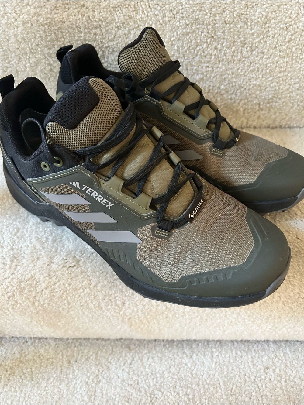 adidas Terrex Olive and Black Trail Shoes Goretex